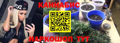 прущие грибы Уссурийск