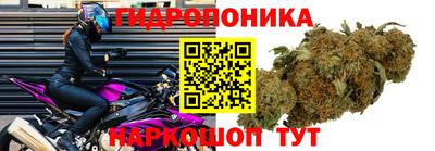 прущие грибы Уссурийск